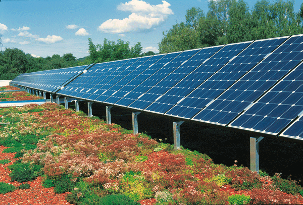 ZinCo Solarbasis SB 200, Willibrordschool Bodegraven ZinCo Solarbasis SB 200, Willibrordschool Bodegraven
