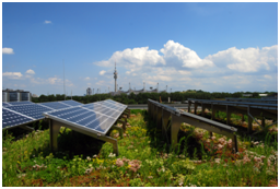 Dankzij de koelende werking van dakbegroeiing wordt het rendement van zonnepanelen, volgens de meetresultaten van ZinCo, met 4 % verhoogt.