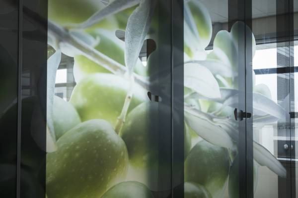 Afbeelding appelboom op glaswand