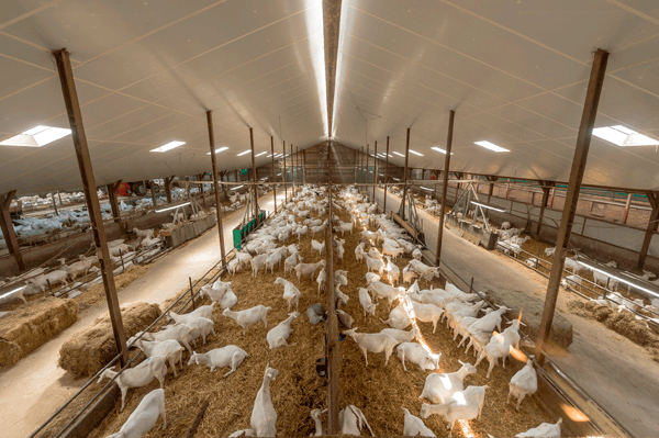 Kingspan Insulation B.V. | NBD Nederlandse Bouwdocumentatie