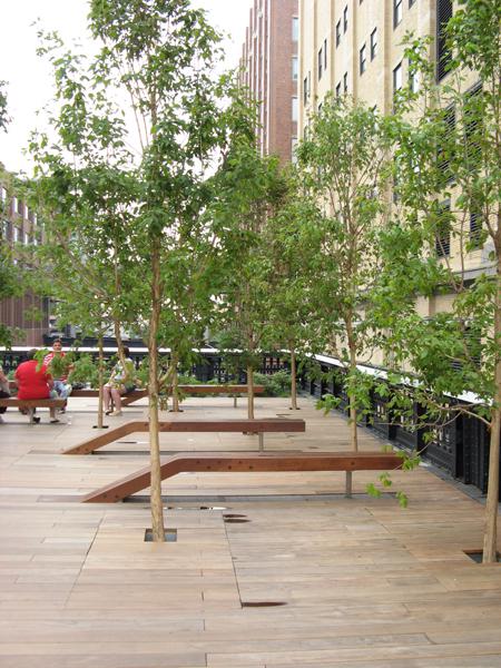 ZinCo dakterras bomen ZinCo dakterras bomen