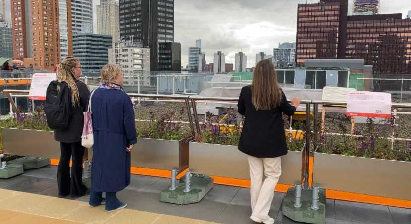 Zoontjens-RooftopWalk-4.jpeg