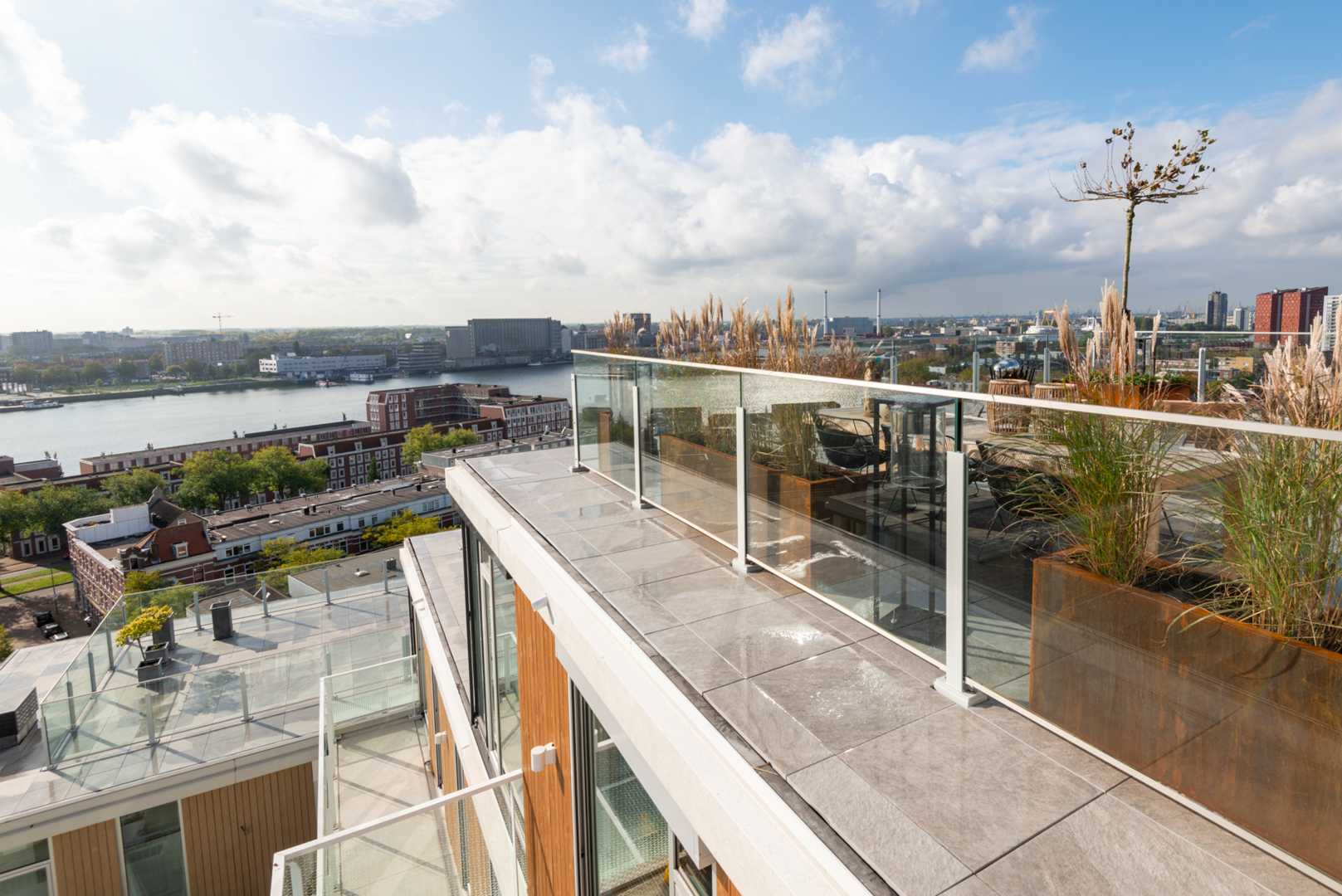 Zoontjens-FenixRdam.jpg