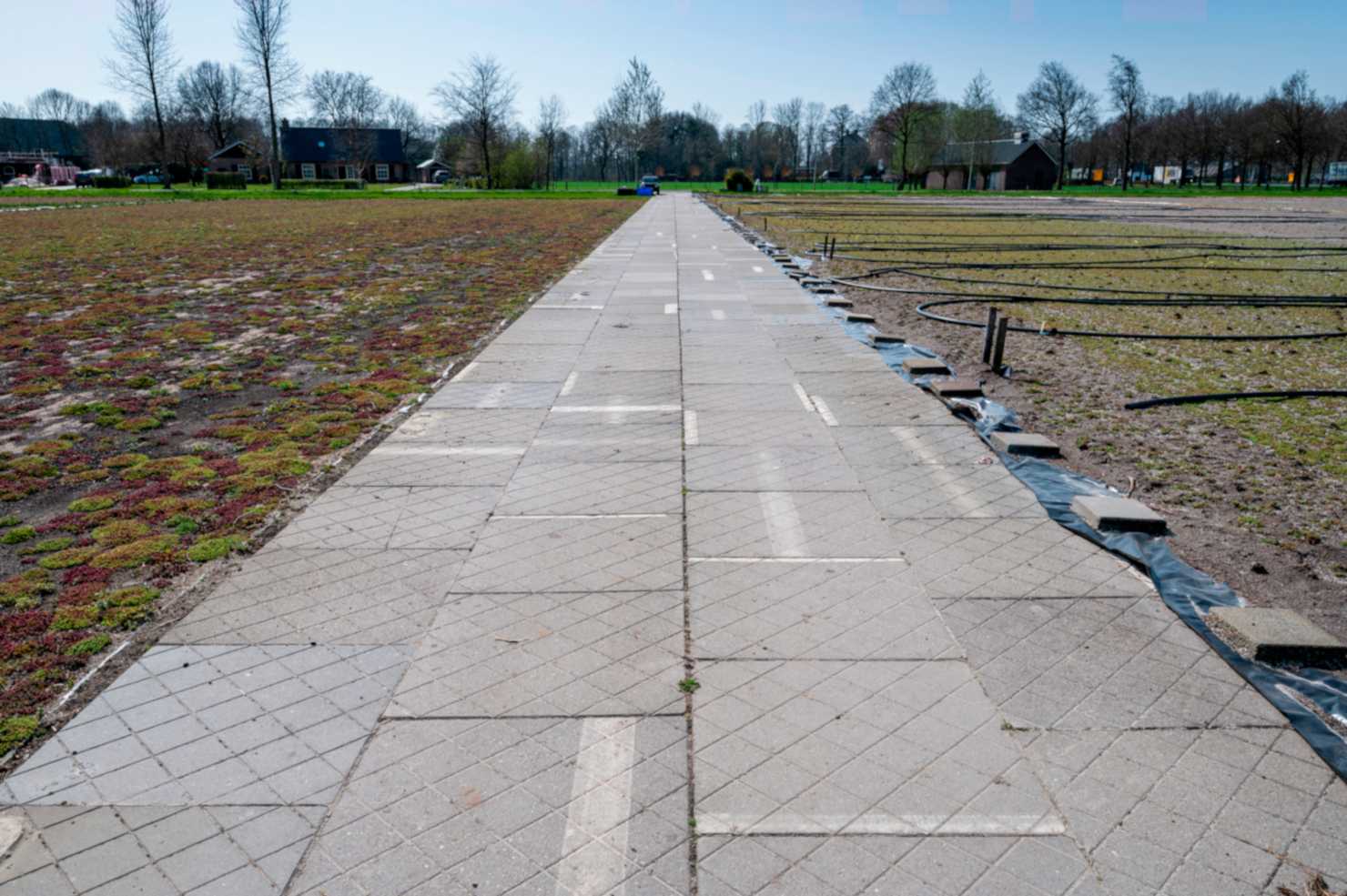 Zoontjens Haaren02.jpg