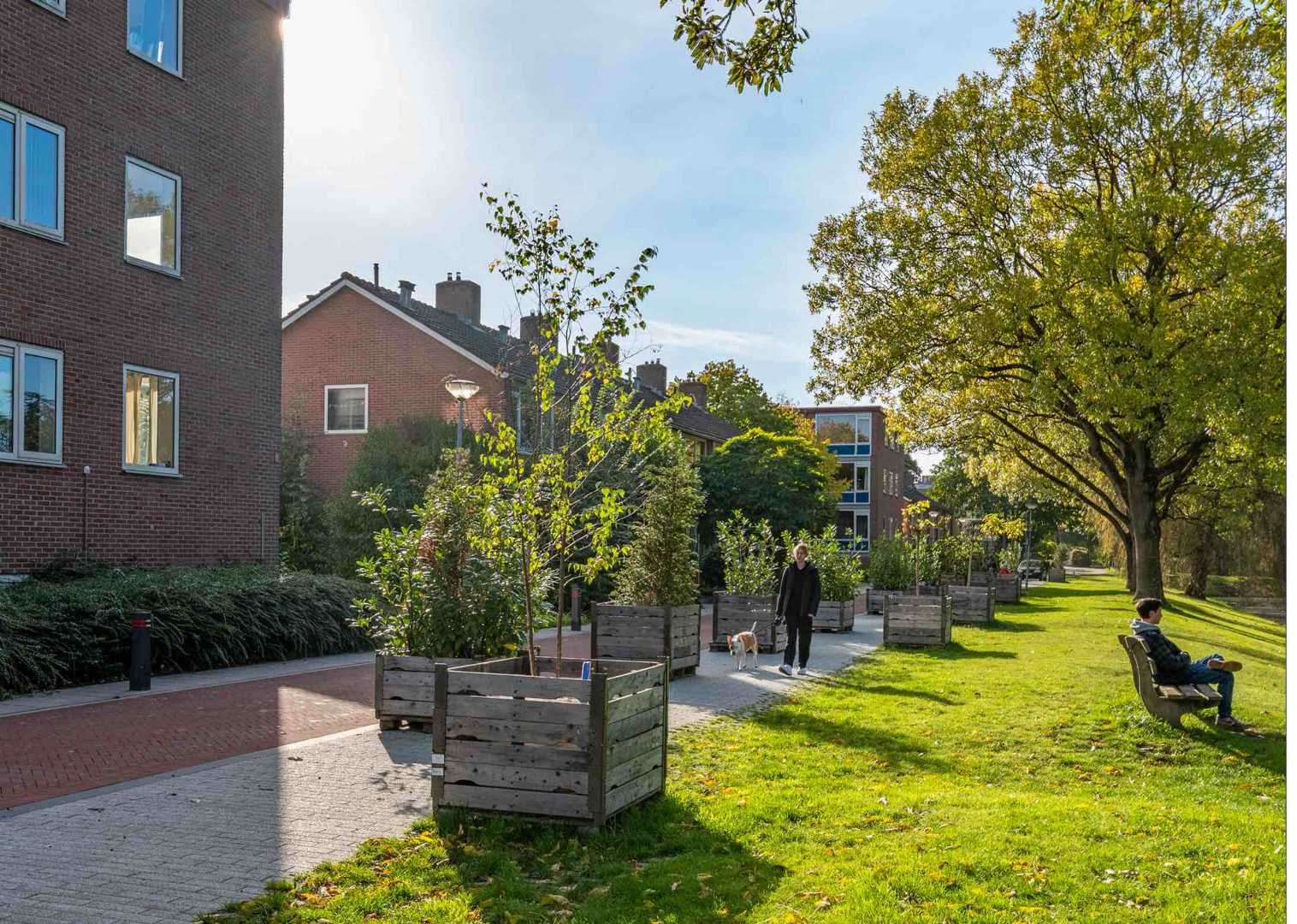 Herinrichting leidt tot meer groen.jpg