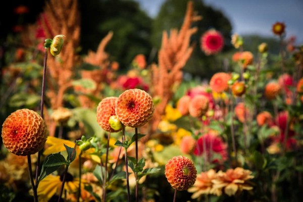 Blog