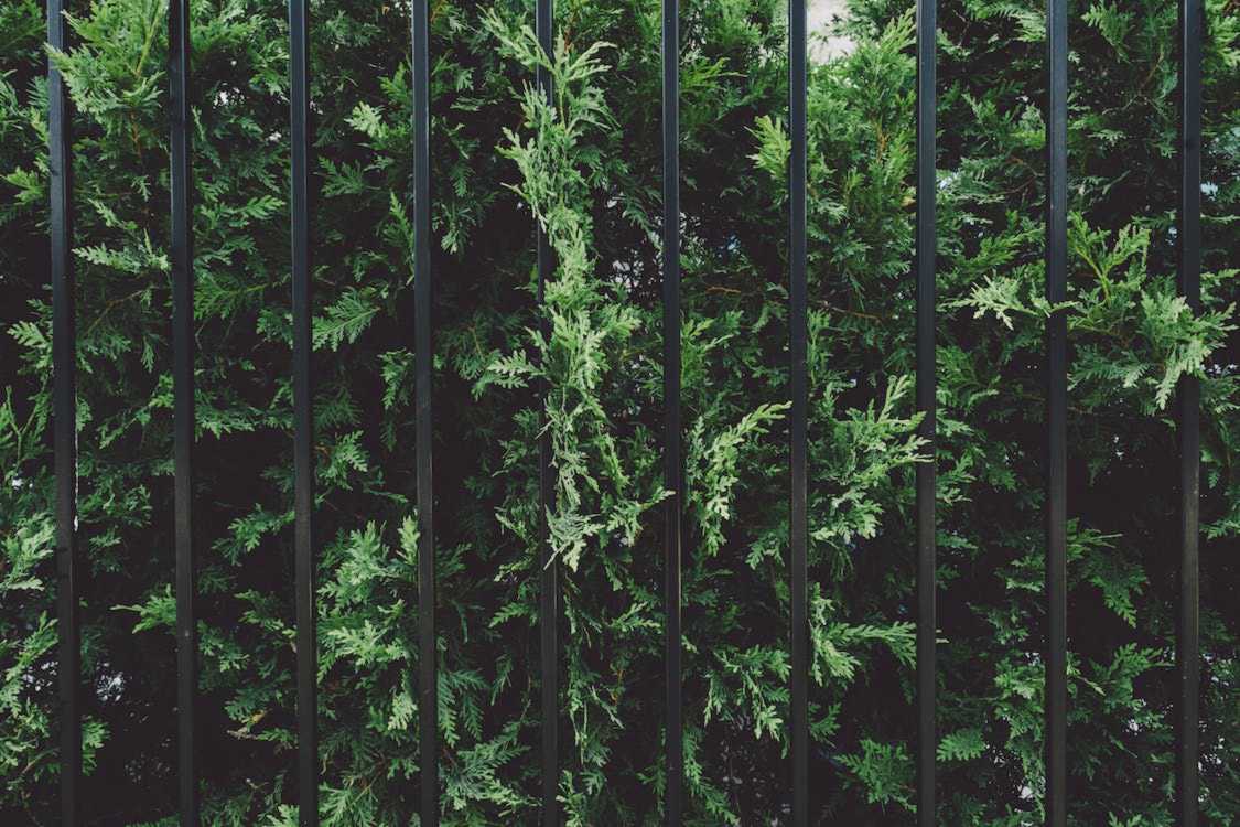 pexels-photo-140975.jpeg