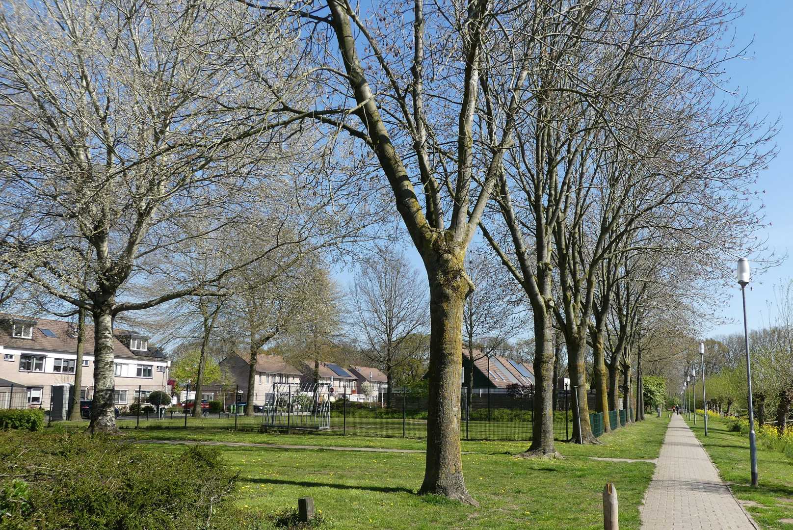 Groene_Hil,_Breda_P1540635.jpg