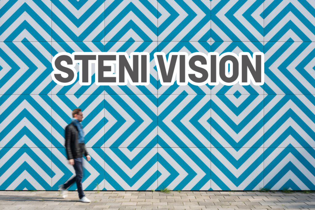 Steni Vision