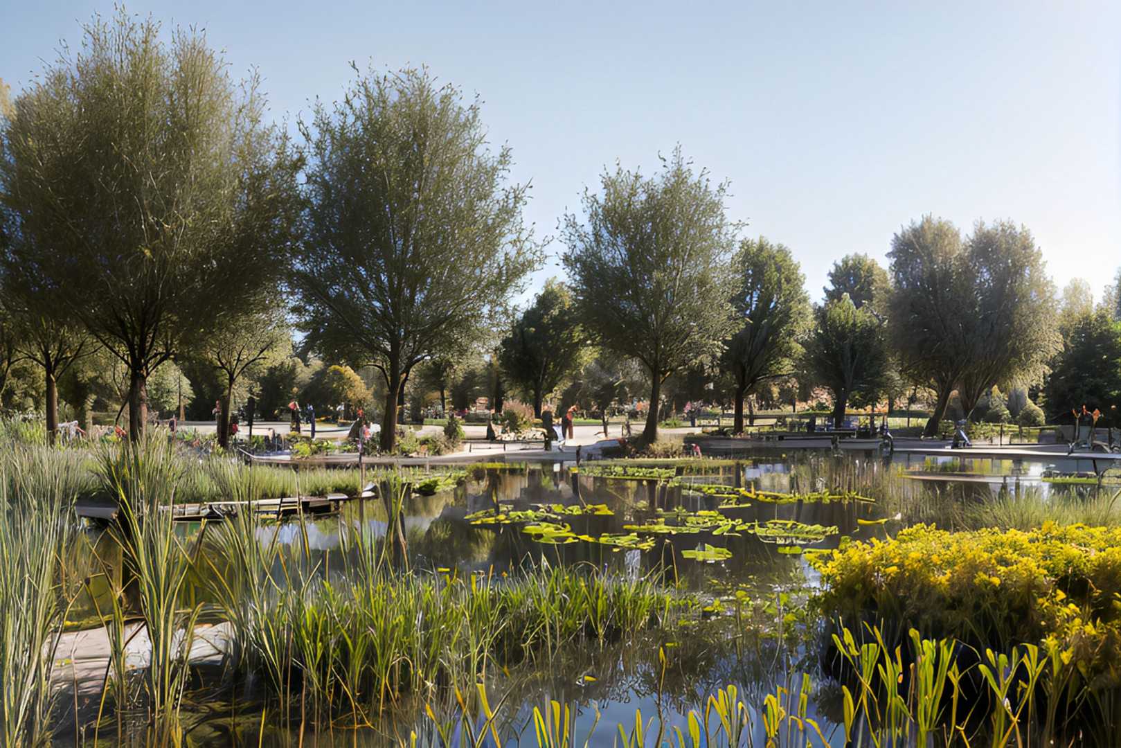 CityHealth® vijver Vijver in groen park