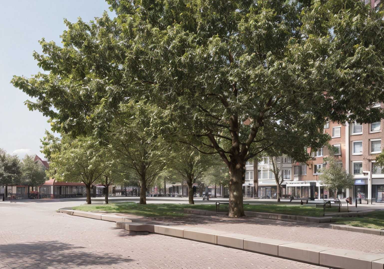 CityHealth® Openbare ruimte Groenvoorziening in de stad