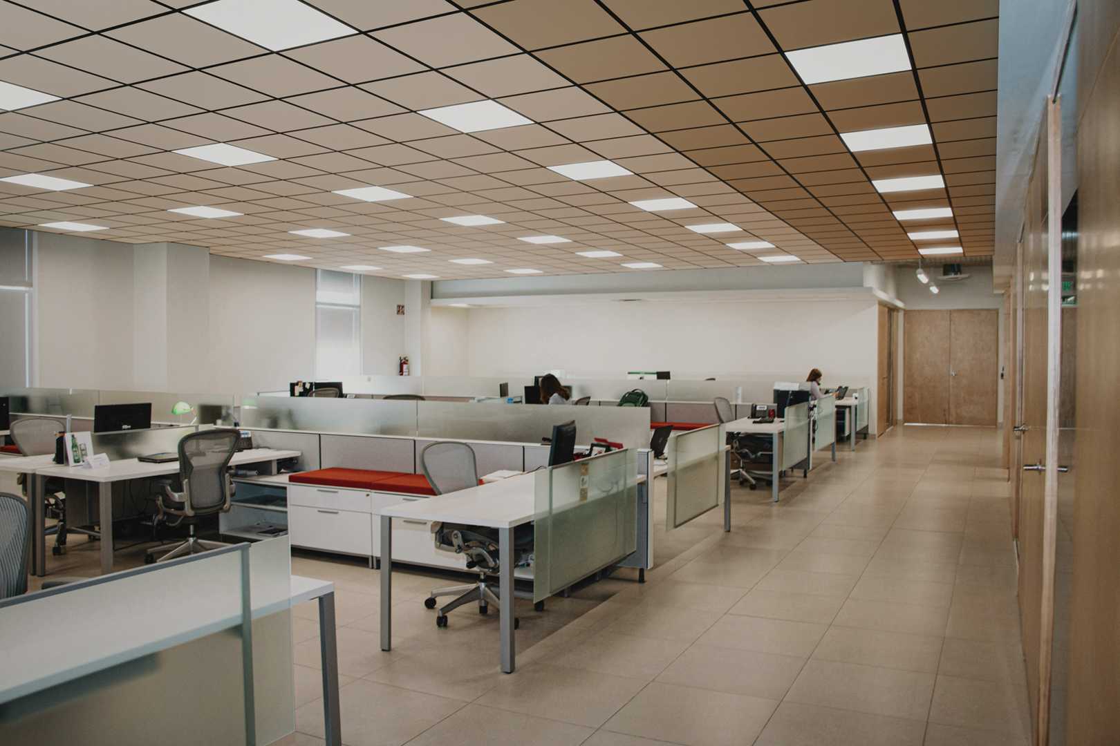 Tonga dB in Kantoorruimte Kantoorruimte met plafondplaten en lichtelementen