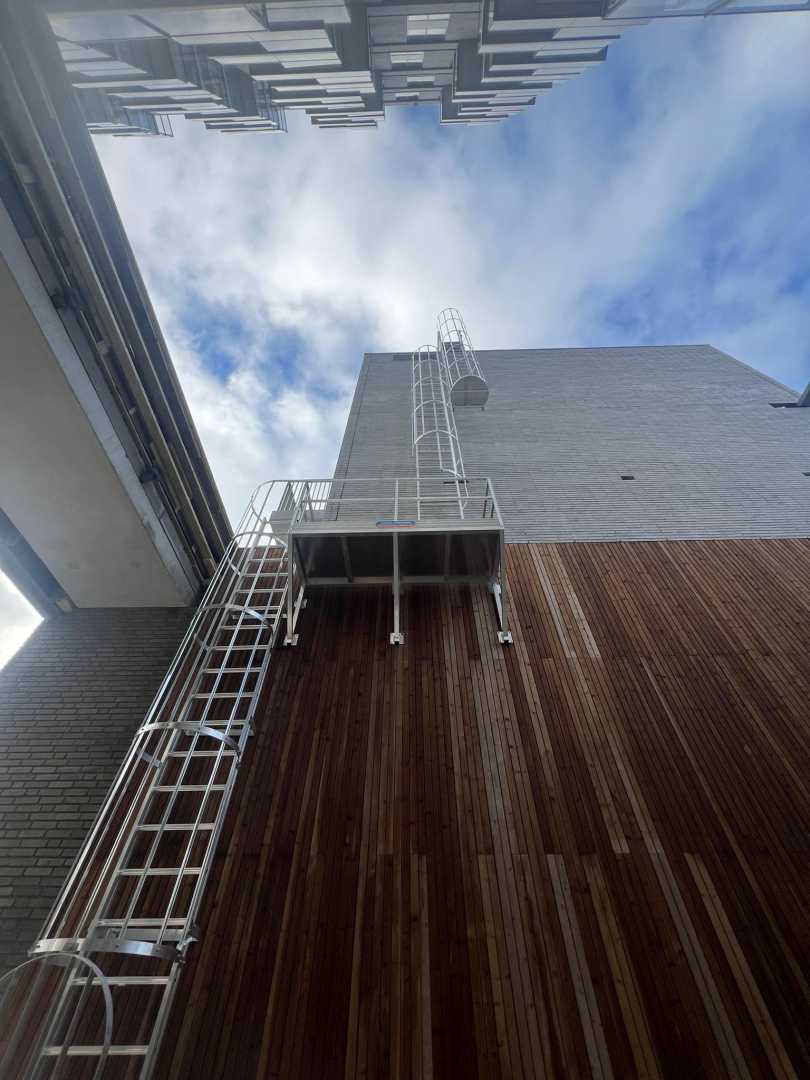 onderaanzicht Kooiladder kikvors perspectief Kooiladder