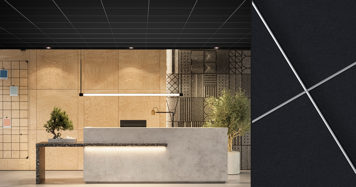 Focus Dt black Receptiedesk met bonzai boompje