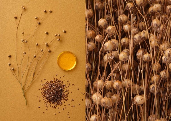 Duurzaamheid & Energiegids