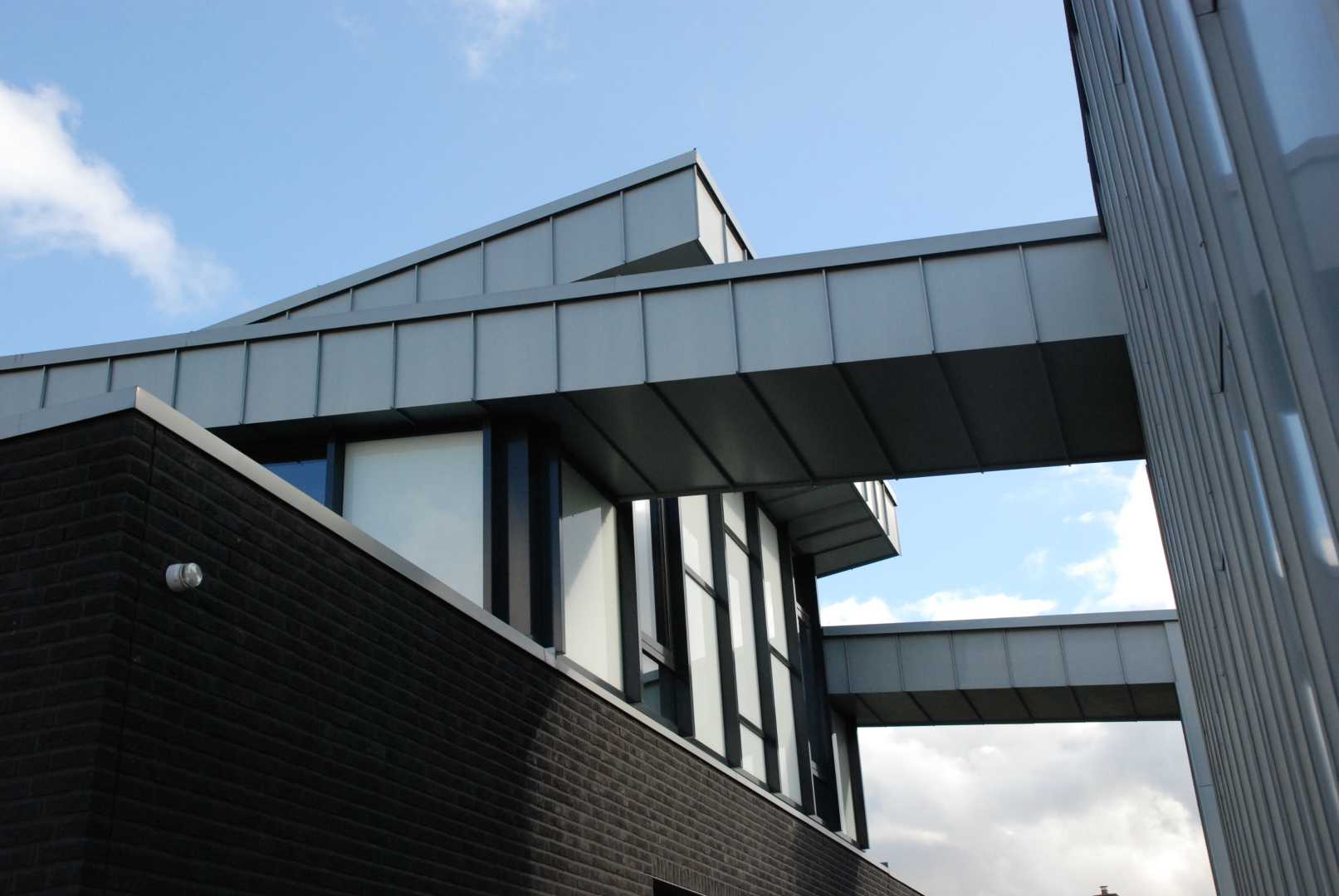 17.Terpvilla Zwolle, Nederland-RHEINZINK prePATINA ECO ZINC blue-grey-Fame Architectuur detail villa met zinken gevel