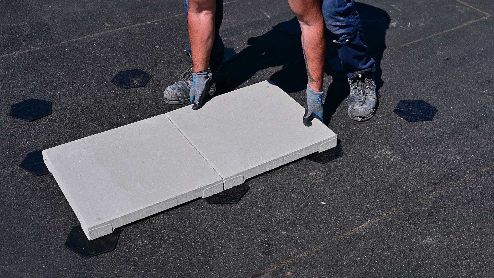 Zoontjens Dreentegel afschotvolgend plakzegel afschotvolgend plakzegel