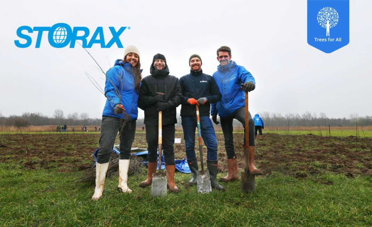 Trees for All Storax trees for All