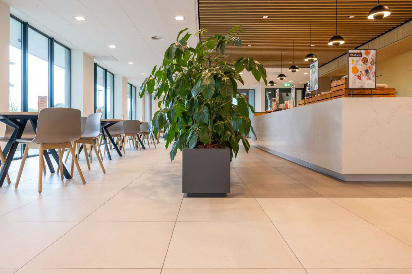 Mosa Solids Vivid White, Clay Grey, GeoKlinker Roma Den Bosch Mosa Solids Vivid White, Clay Grey, GeoKlinker Roma Den Bosch