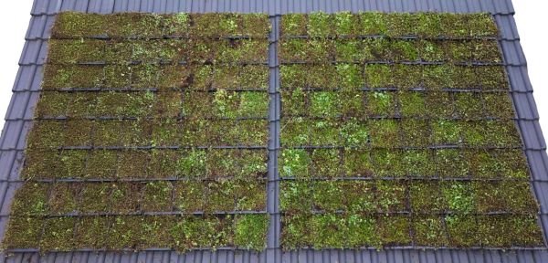 Nelskamp Dakpannen | NBD Nederlandse Bouwdocumentatie dak huizen met groene dakpannen