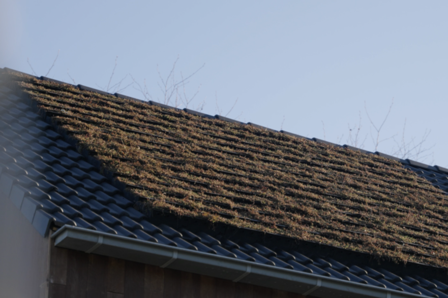 Nieuws | NBD Nederlandse Bouwdocumentatie